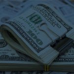 Around the Envato Office - Selina